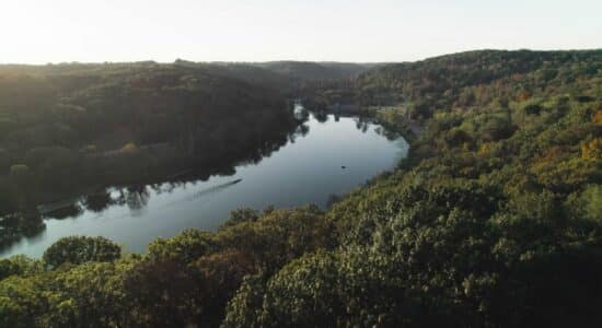 Keep It Growing – Tree Pittsburgh